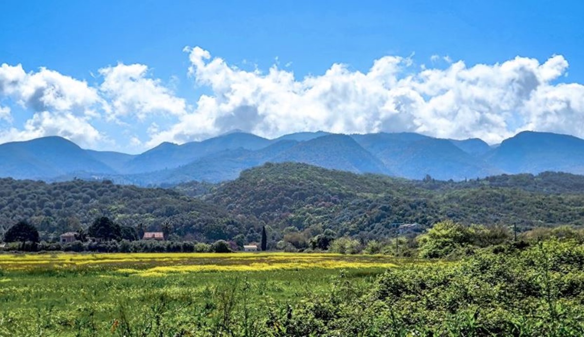 Καιρός: Άνοδος της θερμοκρασίας μέχρι την Κυριακή με τον υδράργυρο να φτάνει έως τους 28 βαθμούς – Η πρόγνωση από την Ο. Παπαβγούλη