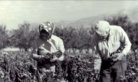 Σέρρες: Μουσική και ποιητική βραδιά στο  Μπεζεστένι</strong>