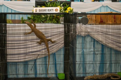 Επιτάχυνση εξώσεων και «πιστοποιητικό φερεγγυότητας» – Οι αλλαγές που φέρνει το 2026 στην αγορά ενοικίων