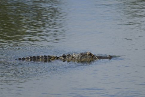<strong>Κοζάνη: Ημερίδα της ΟΛΜΕ «Σύγχρονες Προκλήσεις στη Δευτεροβάθμια Εκπαίδευση»</strong>