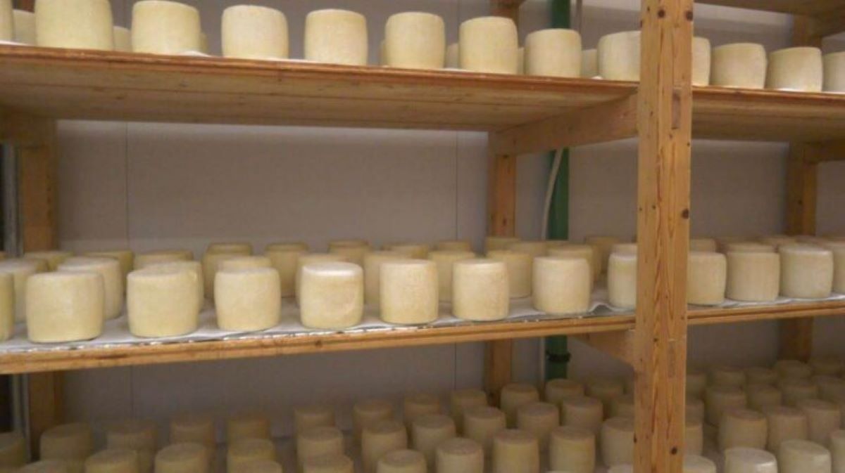 Ανοίγουν από την Παρασκευή τα μεγάλα τυροκομεία της Λέσβου  ​