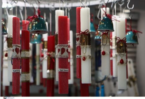 Βόλος: Πυροβολούν αδέσποτα ζώα σε κατοικημένες περιοχές – Καταγγελίες και φόβοι για κλιμάκωση της βίας