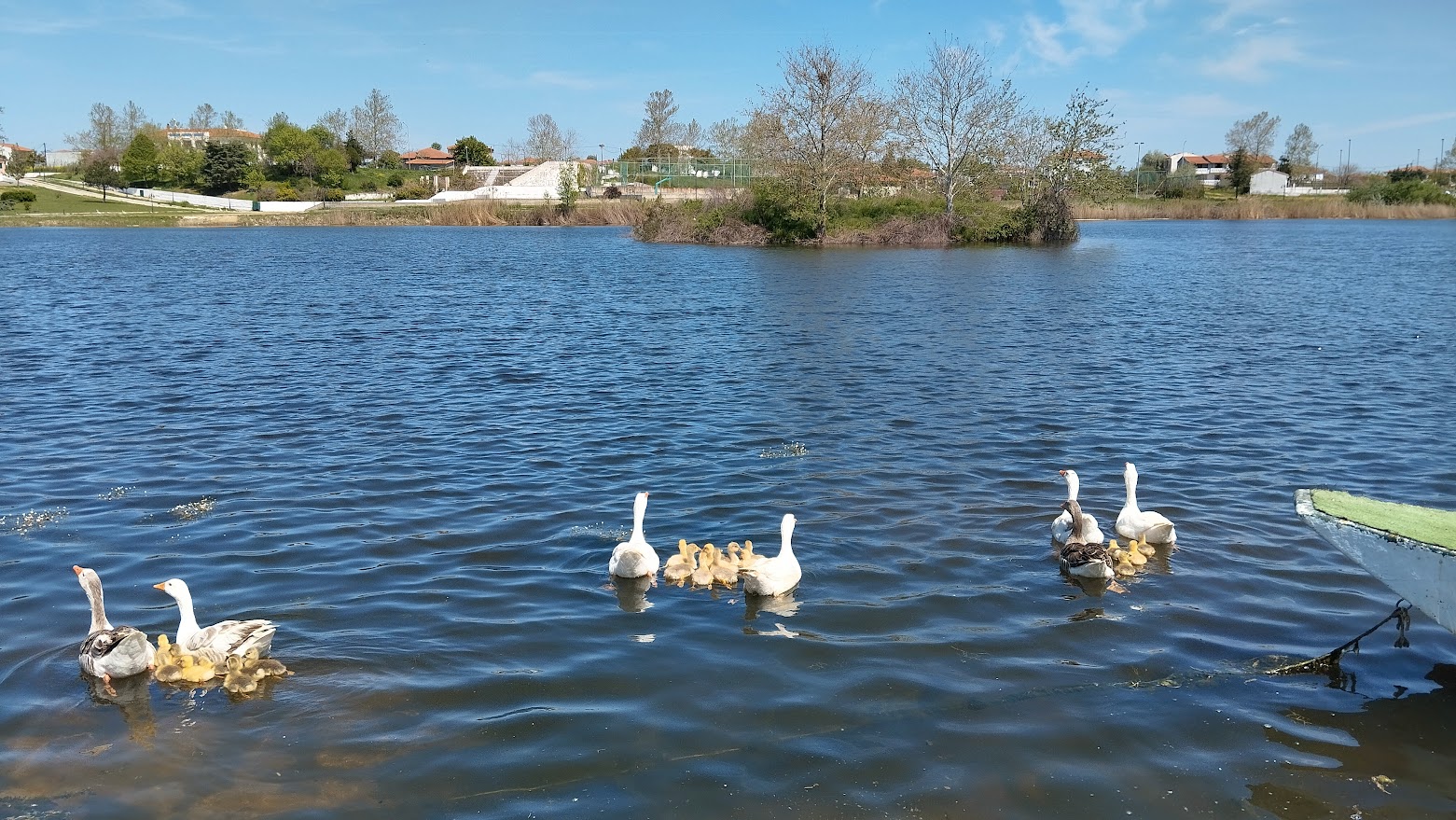 Σουφλί: Δίκτυο μονοπατιών στο δάσος Δαδιάς, το Απολιθωμένο Δάσος και τη Λίμνη Τυχερού