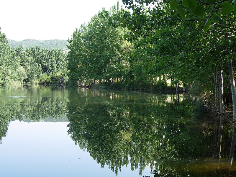 Εγκρίθηκε από την Περιφέρεια Κεντρικής Μακεδονίας η εμβληματική ανάπλαση του Δήμου Ωραιοκάστρου– Δημιουργείται ευρύ δίκτυο πρασίνου με 15 εκ. ευρώ από το ΕΣΠΑ