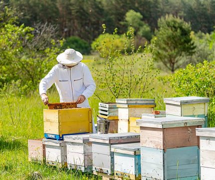 <strong>«Μελάθρα Δολάρια Σουίτες Πετρογκάζ» από το «Βόρειο Πεδίο»</strong> <strong>Παρασκευή 19 Δεκεμβρίου</strong>