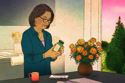 Ο ΓΓ του ΝΑΤΟ συναντά τον Τραμπ μετά την εκεχειρία με το Ιράν – Τα θέματα της ατζέντας