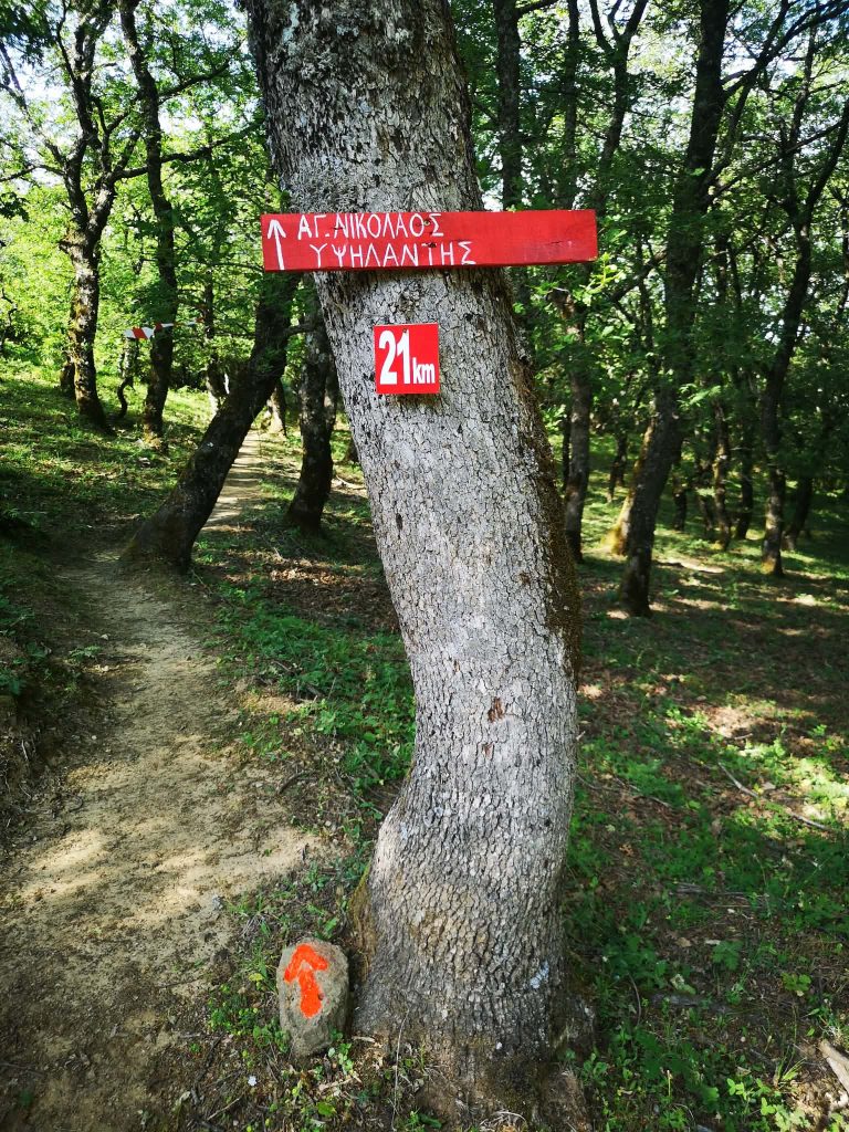 Ipsilantis Trail: 5ος αγώνας δρόμου στις μοναδικές ορεινές διαδρομές του Ελικώνα Βοιωτίας