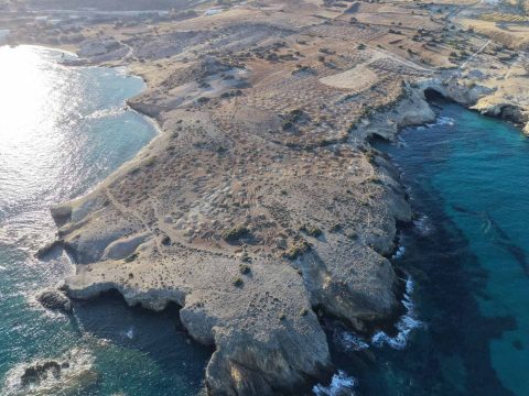 Ένθετο Γεωργία: <strong>Κινδυνεύει η παραγωγή του τυριού «Σαν Μιχάλη»</strong>