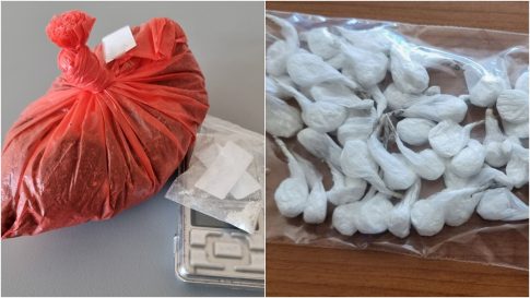 Κέρκυρα: Το 19<sup>ο</sup> Ρεύμα Ανακύκλωσης δημιουργεί ο Δήμος του Βορρά, μετατρέποντας τα υπολείμματα από κλαδέματα σε λίπασμα