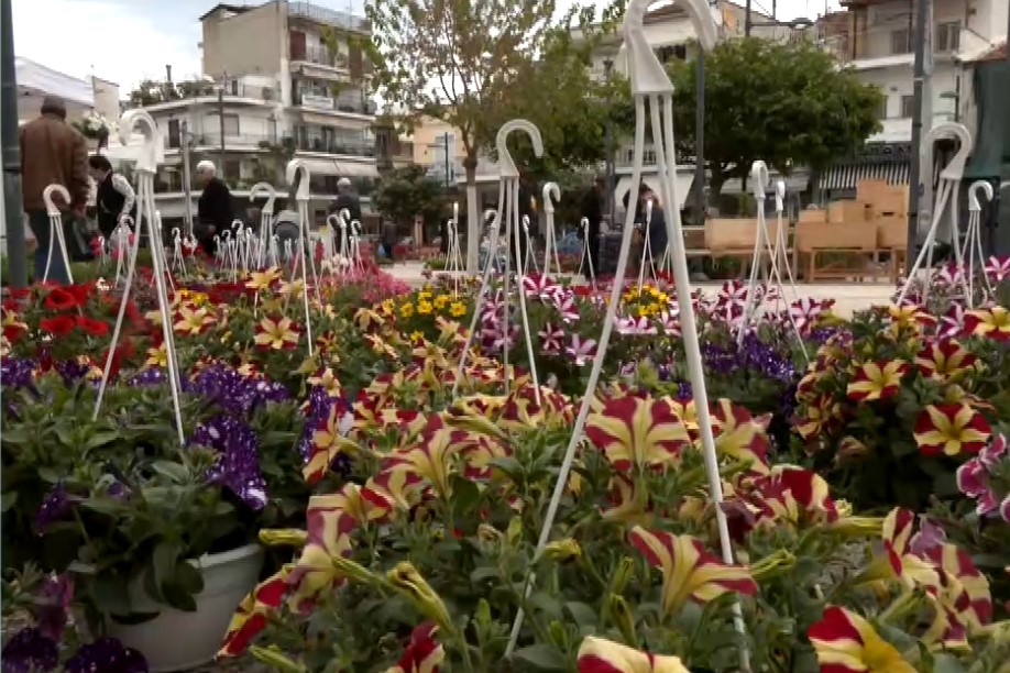 Νιγρίτα Σερρών: Λουλούδια και άνοιξη στην 5η Ανθοκομική Έκθεση Βισαλτίας