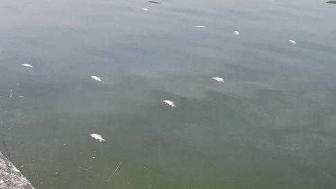 Επείγουσες διακομιδές νεαρών από τις Β. Σποράδες στο Νοσοκομείο του Βόλου