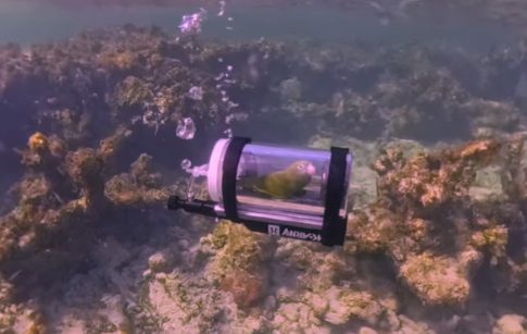 <strong>Η Βουλή των Ελλήνων τίμησε Ολυμπιονίκες και Παραολυμπιονίκες</strong>