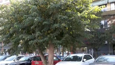 Φωτιά τώρα στην Κοζάνη: Αναζωπύρωση στην Ασβεστόπετρα – <strong>Επί ποδός όλη τη νύχτα για αντιπυρικές ζώνες </strong>