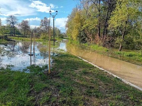 <strong>Οι κορυφαίες χώρες της βιομηχανίας βαμβακιού στη λεκάνη της Μεσογείου συναντήθηκαν στη Σμύρνη</strong>