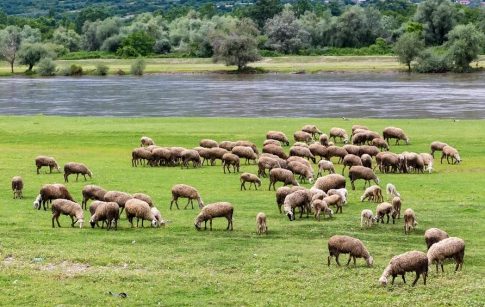 Διδυμότειχο: Σε 6 από τα 10 χωριά κατάλληλο το νερό