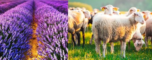 <strong>Διάκριση για την οικονομική λειτουργία του δήμου Δεσκάτης</strong>