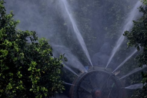 <strong>Σύσκεψη στη Γαστούνη για την παραβατικότητα</strong>