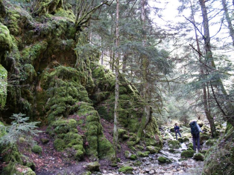 Πορεία ΣΑΟΟ στο κεντρικό Μαίναλο