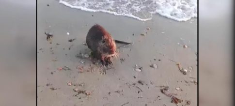 Έρχεται το νέο πλαίσιο για τη ρύθμιση των ληξιπρόθεσμων οφειλών σε εφορίες και τράπεζες