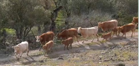 Επίτιμος Δημότης Θεσσαλονίκης ο Πρόεδρος της Κυπριακής Δημοκρατίας Νίκος Χριστοδουλίδης