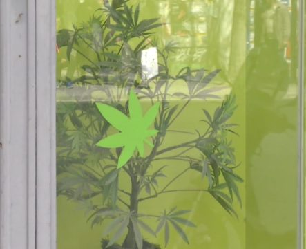 Θεσσαλονίκη: Ανοικτά μαθήματα για το κοινό στο Τμήμα Φιλολογίας της Φιλοσοφικής Σχολής του ΑΠΘ