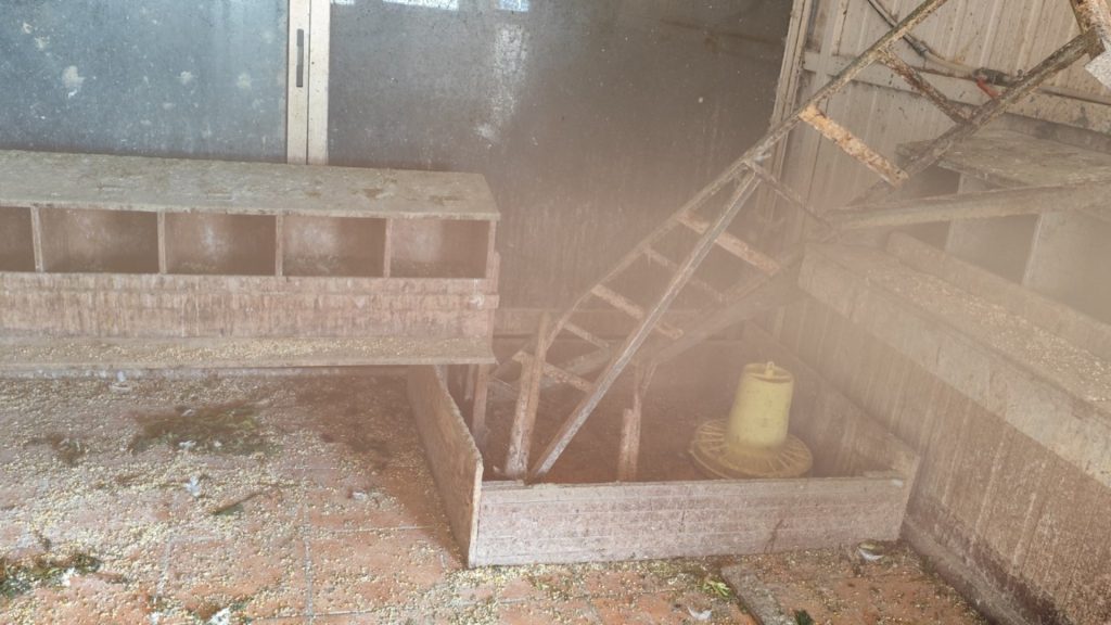 Εντόπισαν στάνη και κοτέτσι στον 16ο όροφο πολυκατοικίας στους Αμπελόκηπους