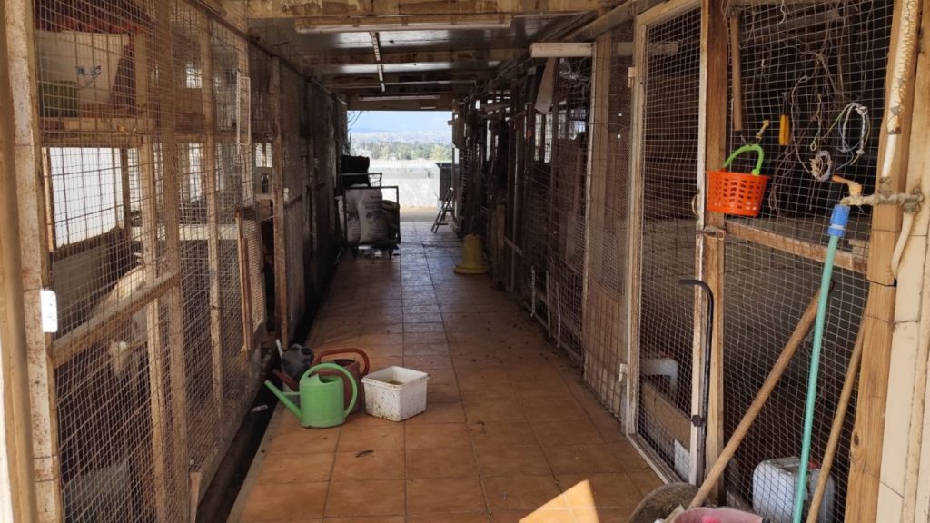 Εντόπισαν στάνη και κοτέτσι στον 16ο όροφο πολυκατοικίας στους Αμπελόκηπους