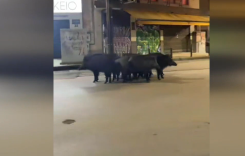 <strong>Τα νέα θεατρικά έργα που ανέδειξε το “Outreach Project 2”</strong> <strong>έρχονται στο Θέατρο Τ</strong>