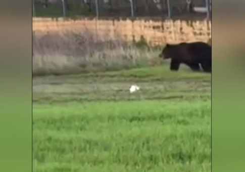 <strong>Τα νέα θεατρικά έργα που ανέδειξε το “Outreach Project 2”</strong> <strong>έρχονται στο Θέατρο Τ</strong>