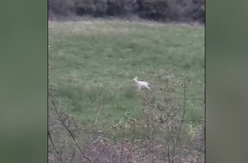 “Send Barron”: H διαδικτυακή καμπάνια για την στράτευση του Μπάρον Τραμπ στον πόλεμο με το Ιράν