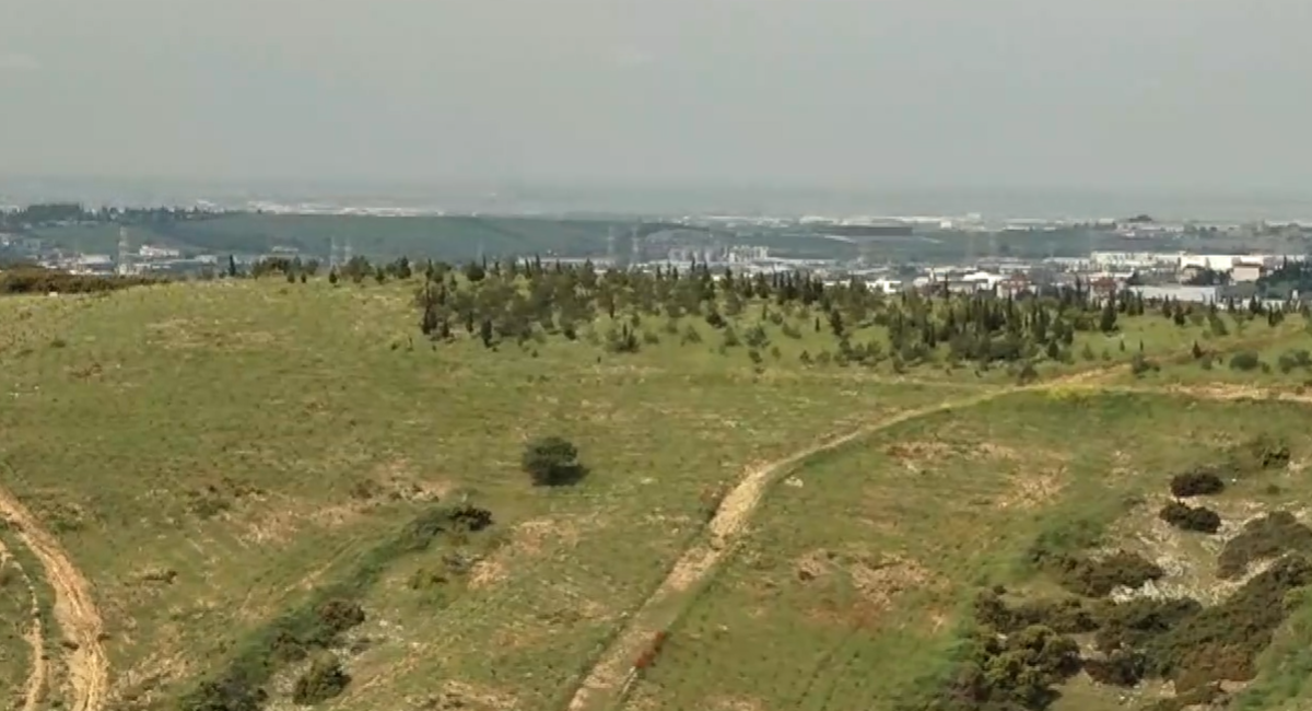 Λύσεις για πράσινες πόλεις-Πώς η τεχνολογία μπορεί να αναζωογονήσει τον αστικό ιστό