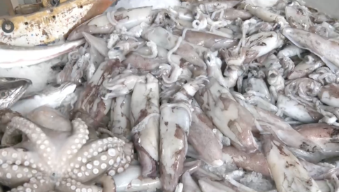 «Επτά» <br> Mία παράσταση για καλό σκοπό