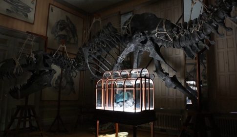 Αναρτάται ο ΕΝΦΙΑ: Τέλος Μαρτίου η εξόφληση της πρώτης δόσης – Ποιοι θα έχουν εκπτώσεις