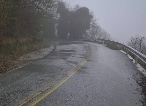 <strong>Ελαιοκομικό Μητρώο: Υποχρεώσεις Ελαιοπαραγωγών για τις Δηλώσεις Συγκομιδής</strong>