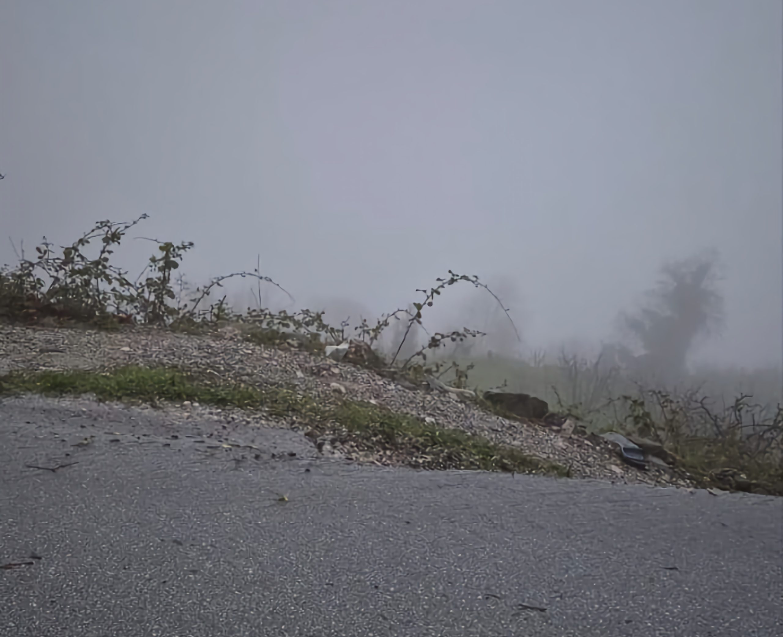 viber-image-2026-04-03-15-07-55-361 Α.Μ. Παπαδημητρίου: Απορρίπτει ευθύνες της Περιφερειακής Αρχής για το ατύχημα στην Ζαγορά