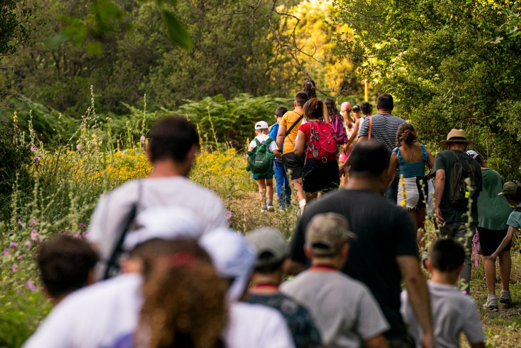 Βαμβακού Λακωνίας: Ορεινός προορισμός εμπειριών στις πλαγιές του Πάρνωνα