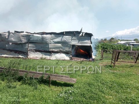 <strong>Αντιπεριφερειάρχης Σερρών: Έκκληση για την ανάρτηση της γαλανόλευκης</strong>