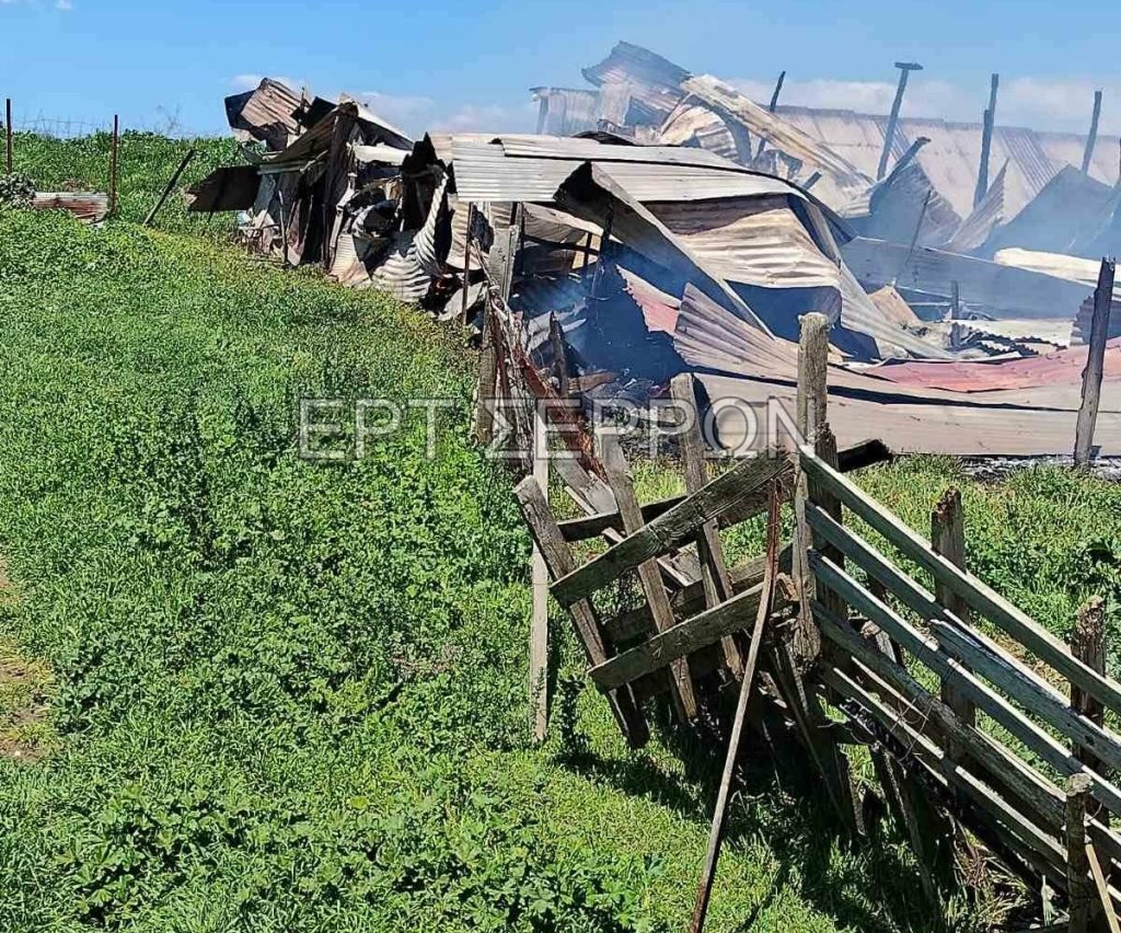 Σέρρες: Κάηκε ολοσχερώς μικρή κτηνοτροφική μονάδα με πρόβατα στα Ίβηρα