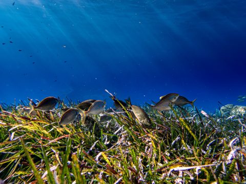 ΔΠΘ: Εξελέγησαν τα εσωτερικά μέλη του Συμβουλίου Διοίκησης ενόψει της εκλογής νέας Πρυτανικής Αρχής