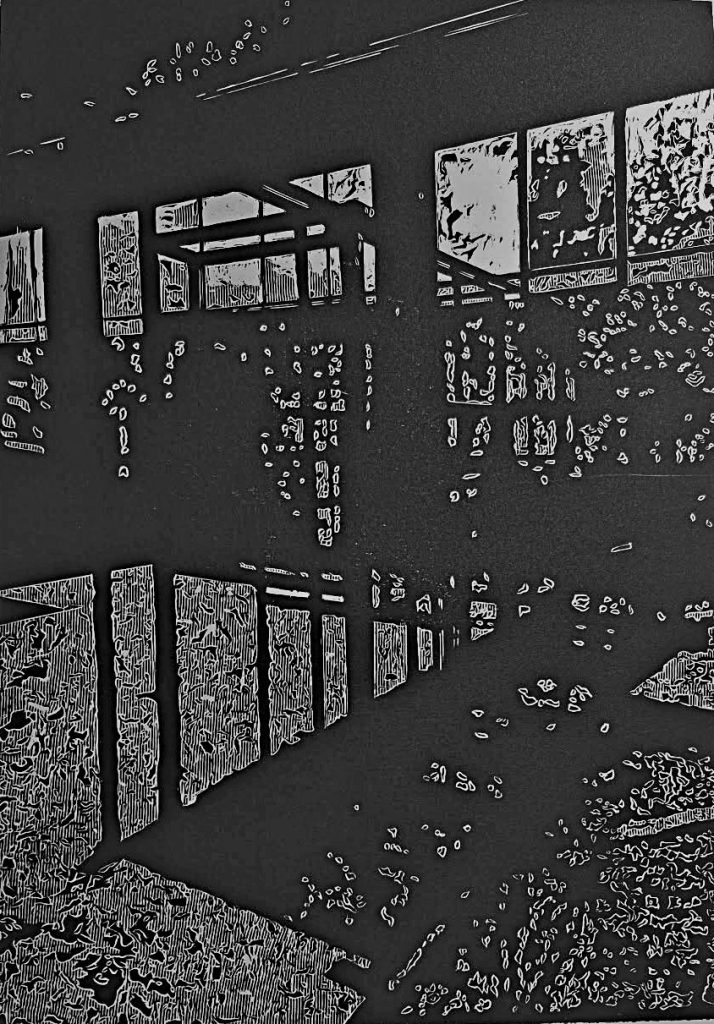 Εγκαινιάστηκε η έκθεση χαρακτικών της Ευστρατίας Μαχαιρίδη