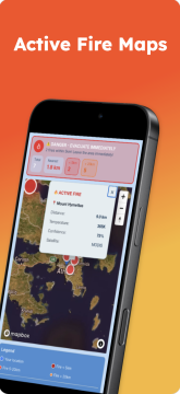 Ένας μήνας χωρίς κρούσμα ευλογιάς αιγοπροβάτων στη Ροδόπη – Επάρκεια αμνοεριφίων ενόψει Πάσχα