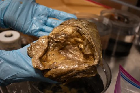 Ζάκυνθος: Τέσσερα κρούσματα λεπτοσπείρωσης ανακοίνωσε ο ΕΟΔΥ – Σε εξέλιξη αυτοψίες στο νησί