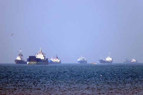 Ένθετο Γεωργία: <strong>Φόβοι για μείωση της αγοράς κρασιού στη Σαντορίνη λόγω σεισμών </strong>