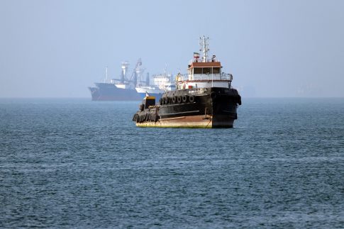 Ένθετο Γεωργία: <strong>Φόβοι για μείωση της αγοράς κρασιού στη Σαντορίνη λόγω σεισμών </strong>