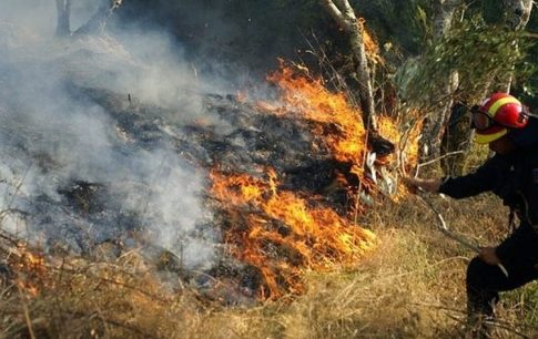 Μια γιορτή φαντασίας και προσφοράς στο Δημοτικό Ωδείο Αλμυρού με το παιδικό βιβλίο «Ρούλης»