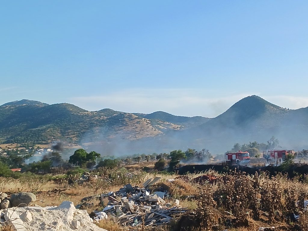 Μάχη με τις φλόγες στους Γόννους του δήμου Τεμπών  – Επιχειρούν επίγειες δυνάμεις και δύο αεροπλάνα