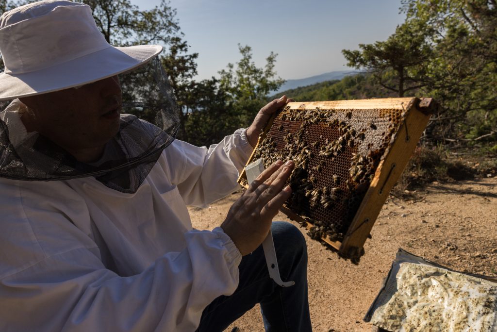 Μελισσοτουρισμός: Ευκαιρία για νέα πνοή στην ελληνική ύπαιθρο και επιμήκυνση της τουριστικής περιόδου