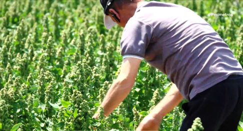 ΟΠΕΚΕΠΕ: Πώς δρούσε το κύκλωμα στη Βόρεια Ελλάδα που έλαβε παράνομα 4,5 εκατομμύρια ευρώ