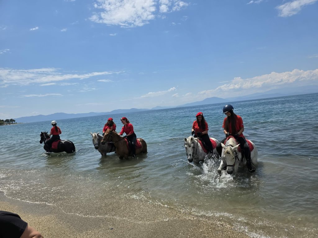 Βόλος: Ο καθαγιασμός των αλόγων στα νερά του Νότιου Πηλίου- Ένα έθιμο που αναβιώνει κάθε χρόνο