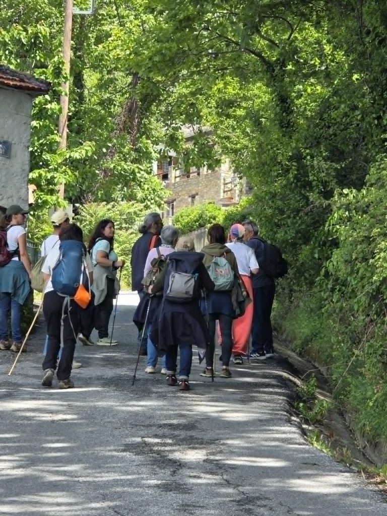 Πορταριά: Ένας βοτανικός περίπατος ανέδειξε 30 είδη φυτών και βοτάνων
